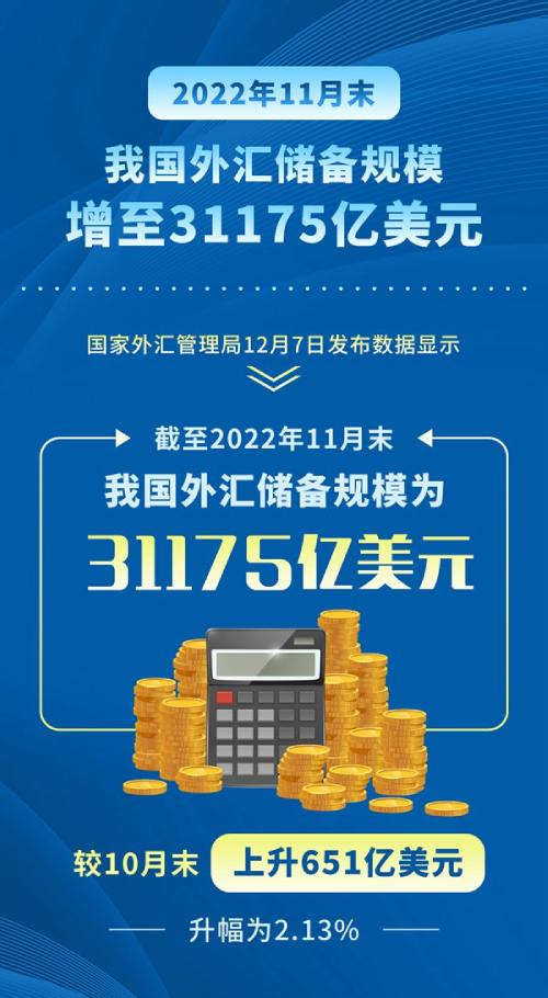 11月末我国外汇储备规模增至31175亿美元(图1) 11月末我国外汇储备规模增至31175亿美元(图1)