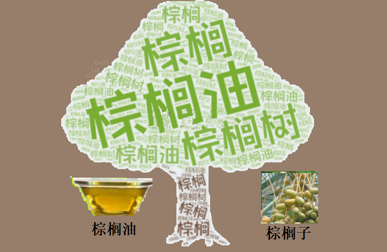 出口数据提振情绪 棕榈油终止三连跌